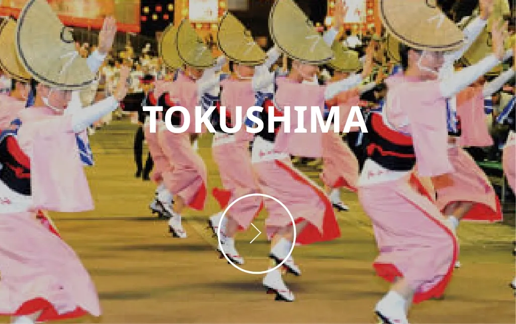 日本語学校徳島校